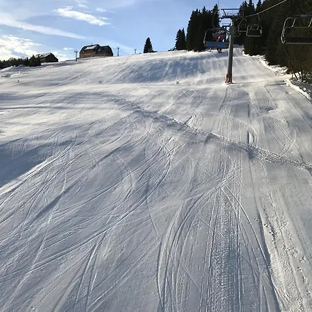 Apartman Ski * 페츠포드 스녜즈코우
